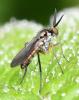 357689 – Photo : Jean-Michel GAREL – France (89)